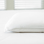 Silk Pillow (Standard)