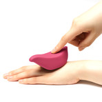 Iroha Plus // Tori Vibrator