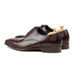 Derby // Dark Brown (US: 6)