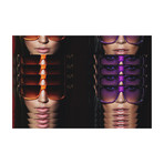 Obsession (24”L x 16”H)