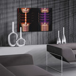 Obsession (24”L x 16”H)