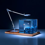 Isolate Original Skull Edition // Blue