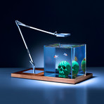 Isolate Original Skull Edition // Green