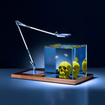 Isolate Original Skull Edition // Yellow