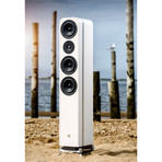 Phi5 MKII Loudspeakers // Pair (Black Ash)