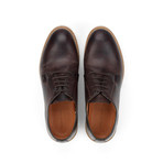 Carl Sneaker // Brown (Euro: 43)