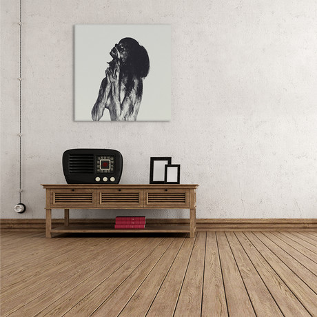 Now You See Me (18"W x 18"H x 0.75"D)