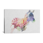 Zebra // Andreas Lie (26"W x 18"H x 0.75"D)