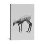 The Deer I // Black + White (26"W x 18"H x 0.75"D)