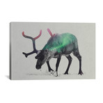 Reindeer (26"W x 18"H x 0.75"D)