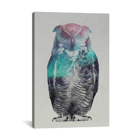 Owl // Andreas Lie (18"W x 26"H x 0.75"D)