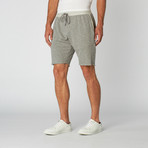 Raw Edge Shorts // Grey (M)