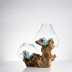 Gamal Root + Two Molten Glass Vases