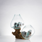Gamal Root + Two Molten Glass Vases