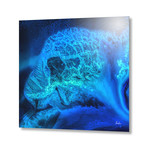 Blue Medusa Detail // Aluminum Print (16"W x 16"L x 0.2"D)