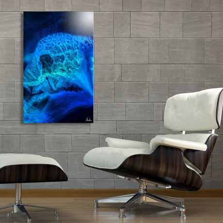 Blue Medusa // Aluminum Print (24"W x 16"L x 0.2"D)