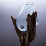 Teak Root + Molten Glass Vase (Large)