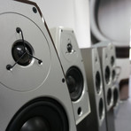 The Emma // Set of 2 (Black Metallic)