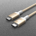 CASA B200 // USB Type C (Gold)