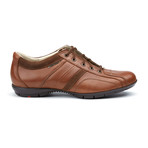 Albano Sneaker // Tobacco Cigar (US: 10)