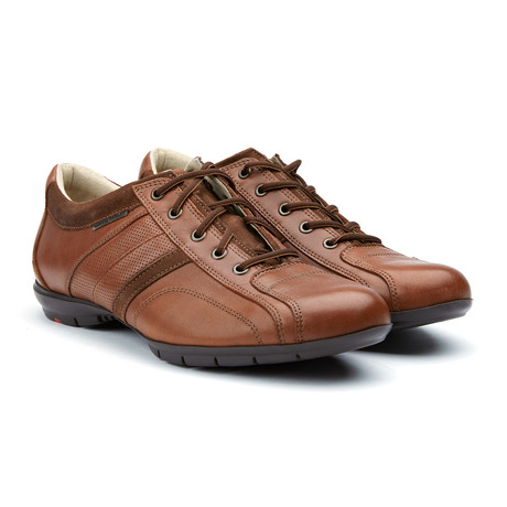 Albano Sneaker // Tobacco Cigar (US: 7)