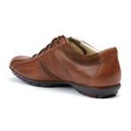 Albano Sneaker // Tobacco Cigar (US: 10)