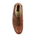 Albano Sneaker // Tobacco Cigar (US: 10)