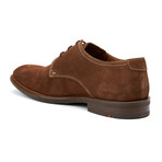 Hel Oxford // Brown Suede (US: 10)