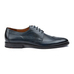 Hutchingson Brogue Wingtip // Blue (US: 8.5)