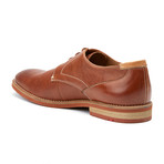 Gentile Oxford // Cigar (US: 10.5)