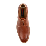 Gentile Oxford // Cigar (US: 10.5)