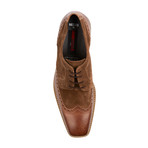 Medias Brogue Wingtip // Cigar (US: 10)