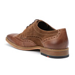 Medias Brogue Wingtip // Cigar (US: 10)