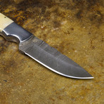 Cão Damascus Knife