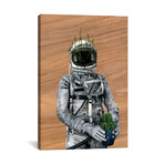 Spaceman I // Cacti (18"W x 26"H x 0.75"D)