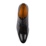 Domeno // Genuine Leather Brogue Shoe // Black (Euro: 41)