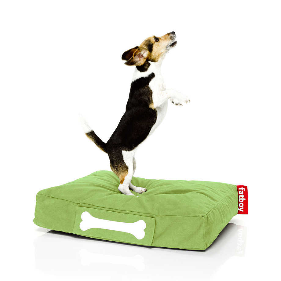 Fatboy® USA Bean Bags, Pet Beds & Hammocks Touch of Modern