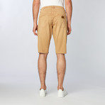 Barfly Shorts // Navajo (34)