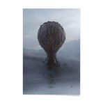 Home // Stretched Canvas (24"W x 16"L x 1.5"D)