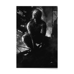 Spiderman // Aluminum (24"W x 16"L x 0.2"D)