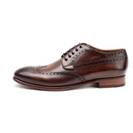 Ash Wingtip Oxford // Dark Brown (Euro: 41)
