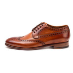 Warfield & Grand // Ash Wingtip Blucher // Siena (Euro: 41)