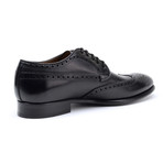 Ash Wingtip Oxford // Black (Euro: 43)