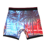 Boulevard Print Performance Boxer Brief // Blue + Red (Small)