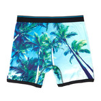 Palms Print Performance Boxer Brief // Sky Blue (Small)