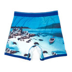 Thai Beach Print Performance Boxer Brief // Ocean Blue (Small)