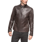 Windsor Leather Jacket // Espresso (M)