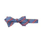 Silk Stripe Diamond Point Bowtie // Steel + Red