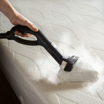 Brio Steam Cleaner (250CC)