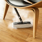 Brio Steam Cleaner (250CC)